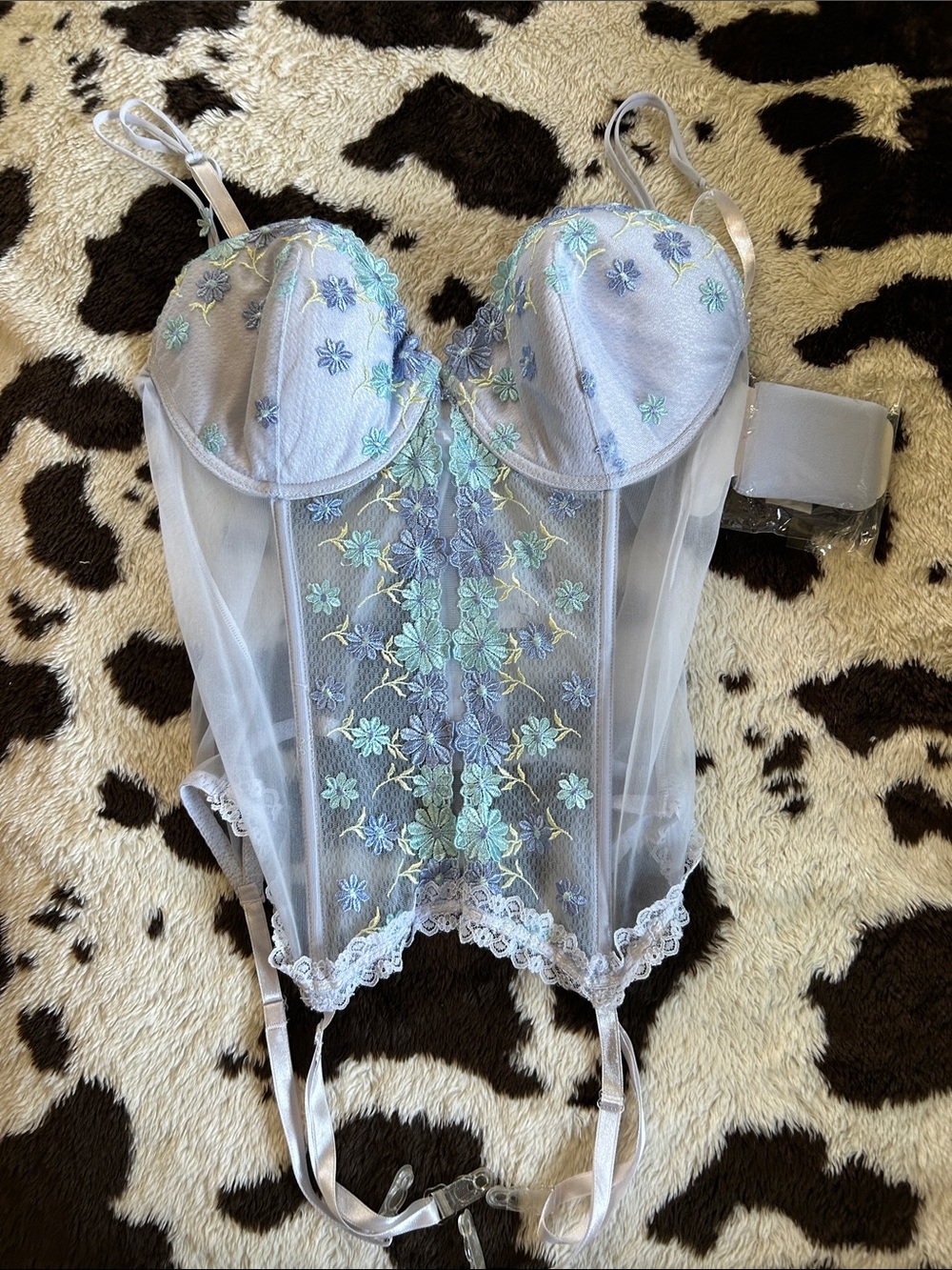 Secret Treasures Sheer Embroidered Bustier in Light Blue and Mint